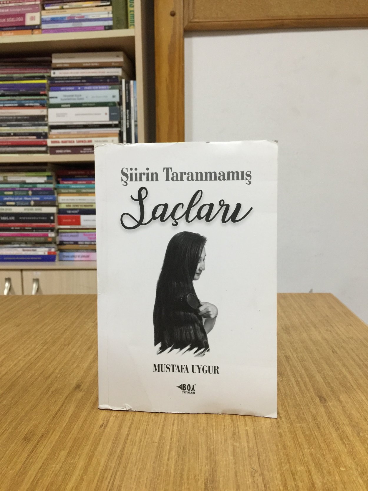 Şiirin Taranmamış Saçları - Mustafa Uygur