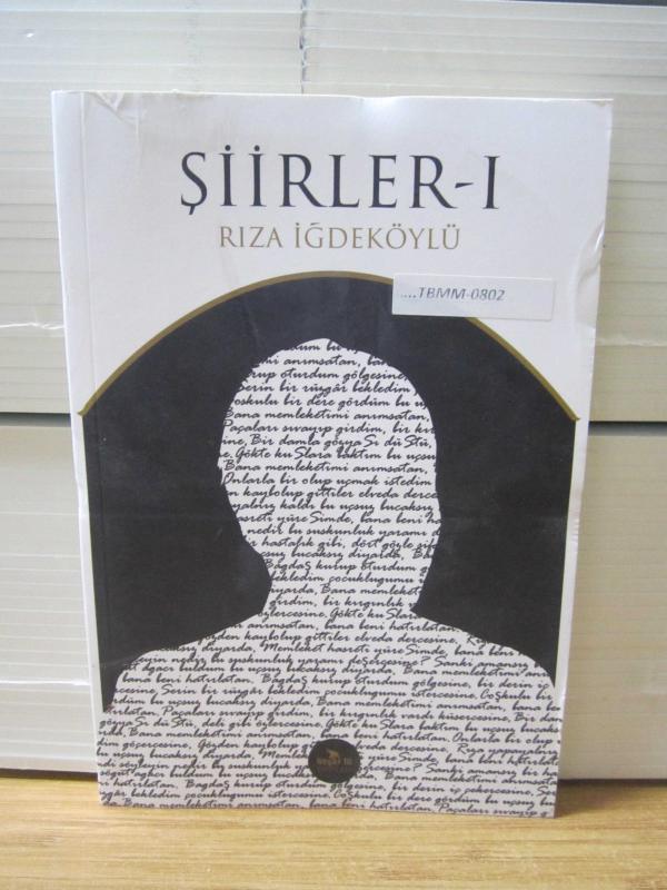 Şiirler - I - Rıza İğdeköylü
