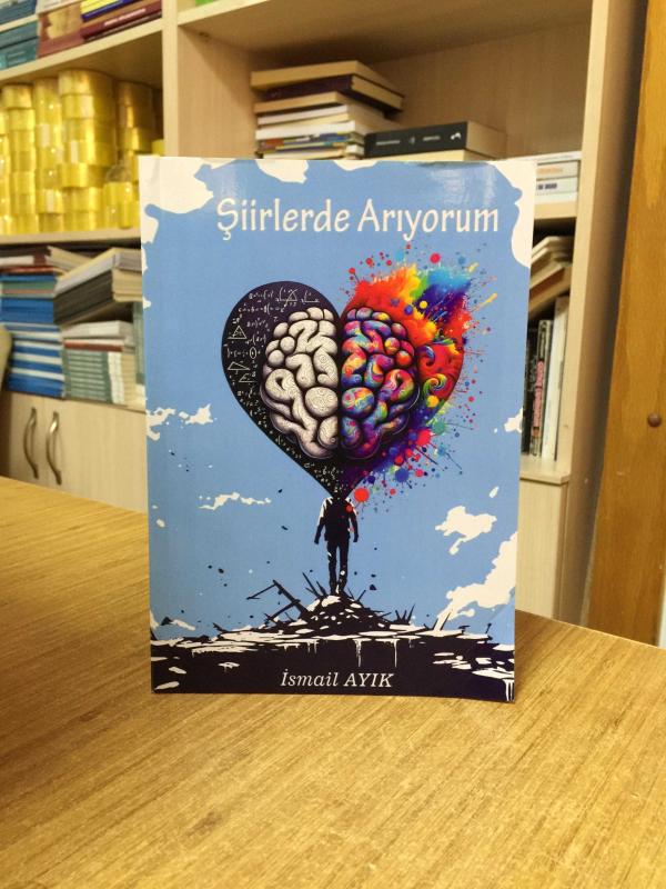 Şiirlerde Arıyorum - İsmail Ayık