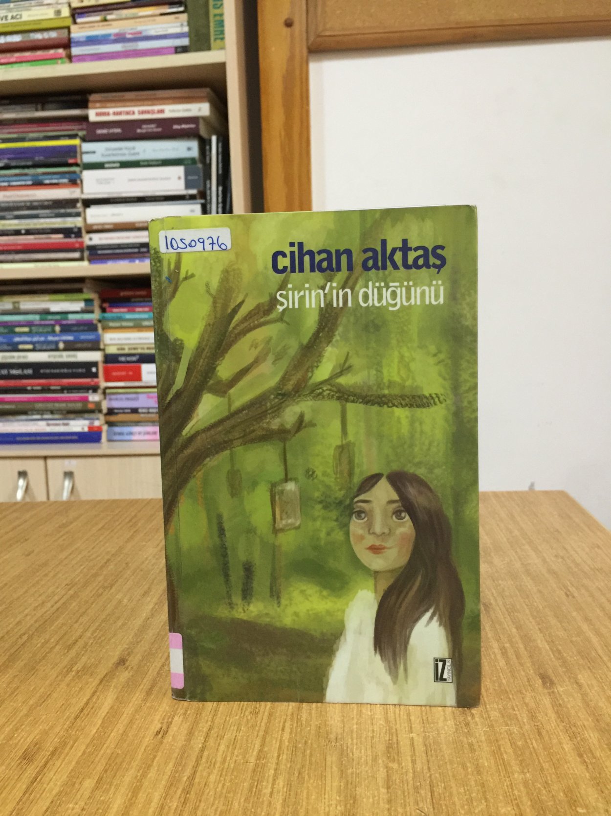 Şirin'in Düğünü - Cihan Aktaş