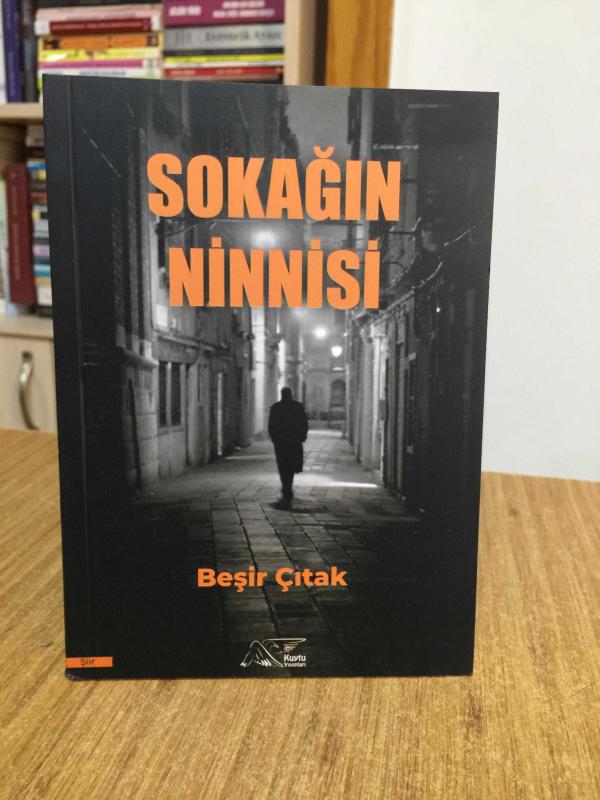 Sokağın Ninnisi - Beşir Çıtak