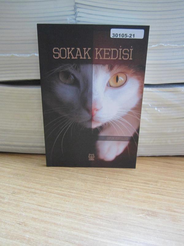 Sokak Kedisi
