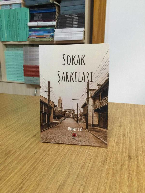 Sokak Şarkıları - Mehmet Çoğ