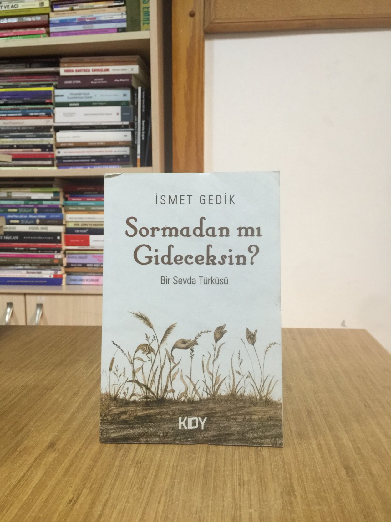 Sormadan Mı Gideceksin? Bir Sevda Türküsü - İsmet Gedik
