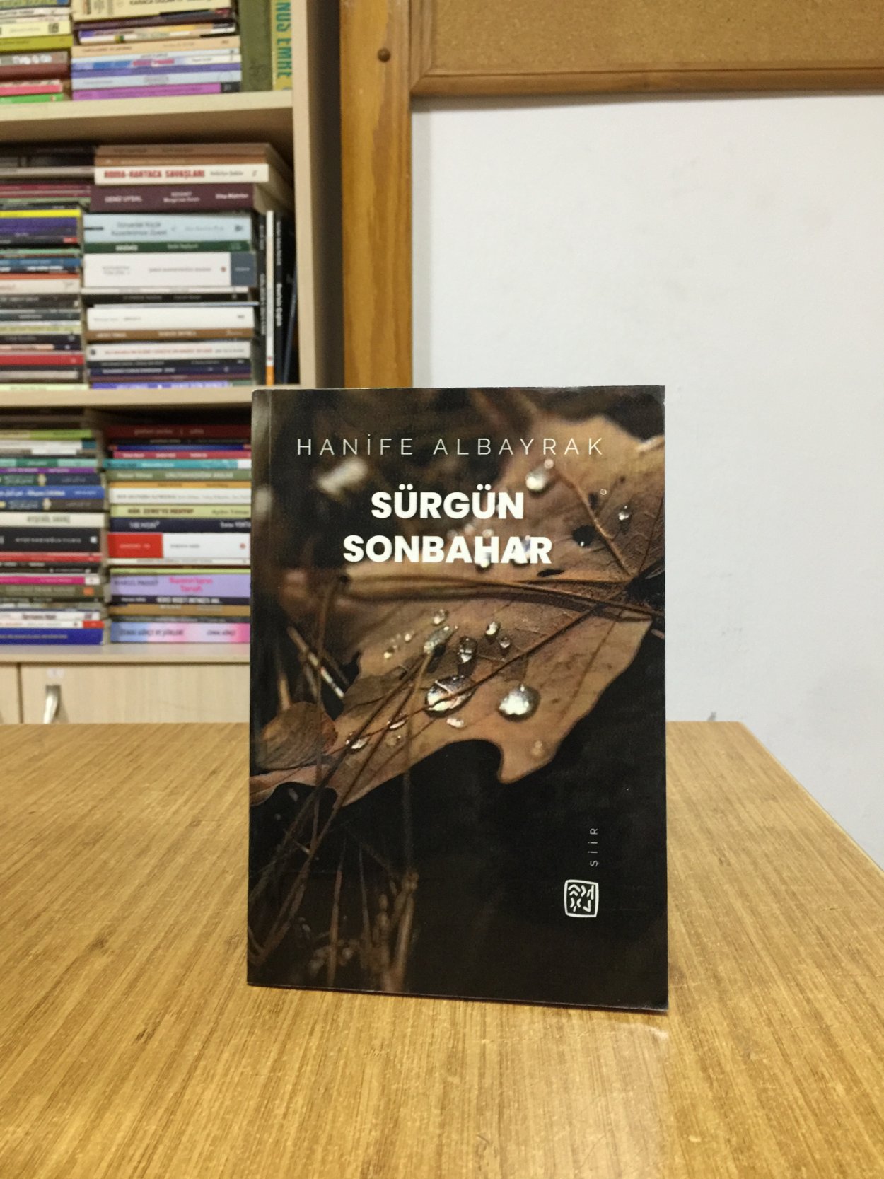 Sürgün Sonbahar - Hanife Albayrak