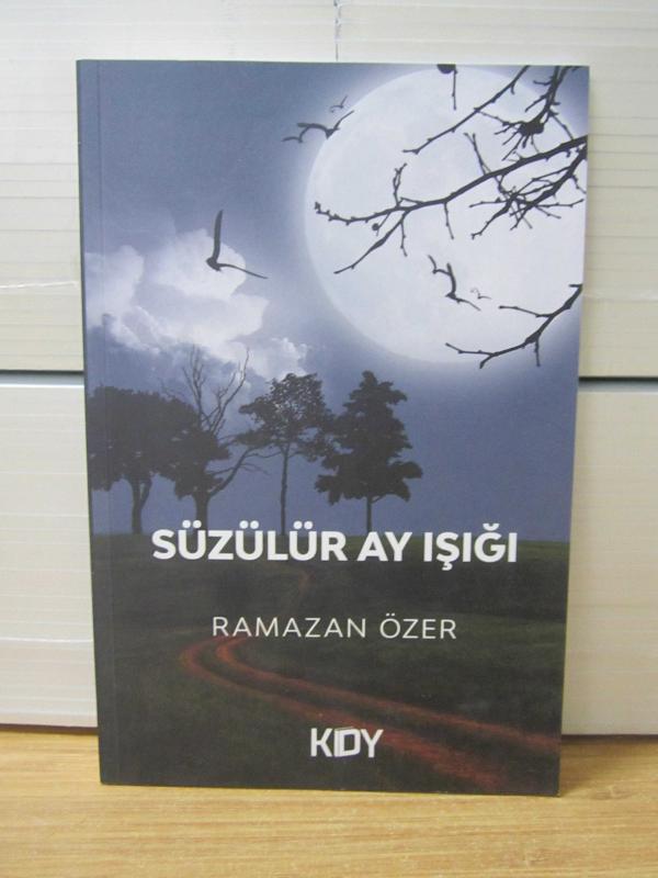 Süzülür Ay Işığı