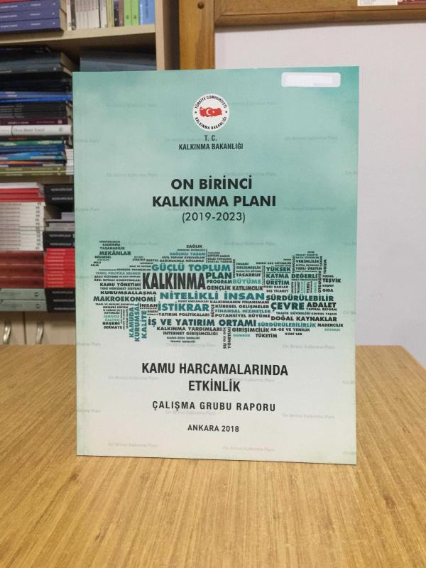 T.C. Kalkınma Bakanlığı On Birinci Kalkınma Planı 2019/2023 - Kamu Harcamalarında Etkinlik Çalışma Grubu Raporu