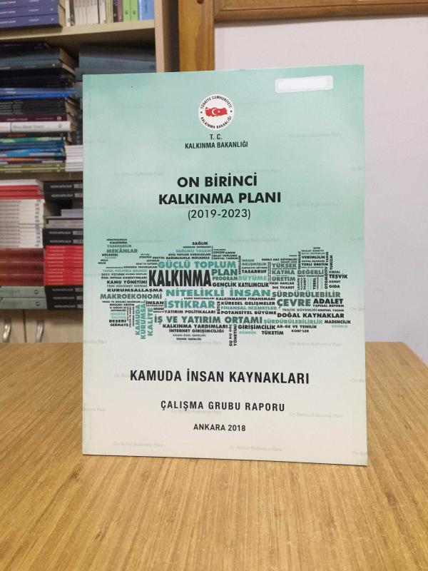 T.C. Kalkınma Bakanlığı On Birinci Kalkınma Planı 2019/2023 - Kamuda İnsan Kaynakları Çalışma Grubu Raporu