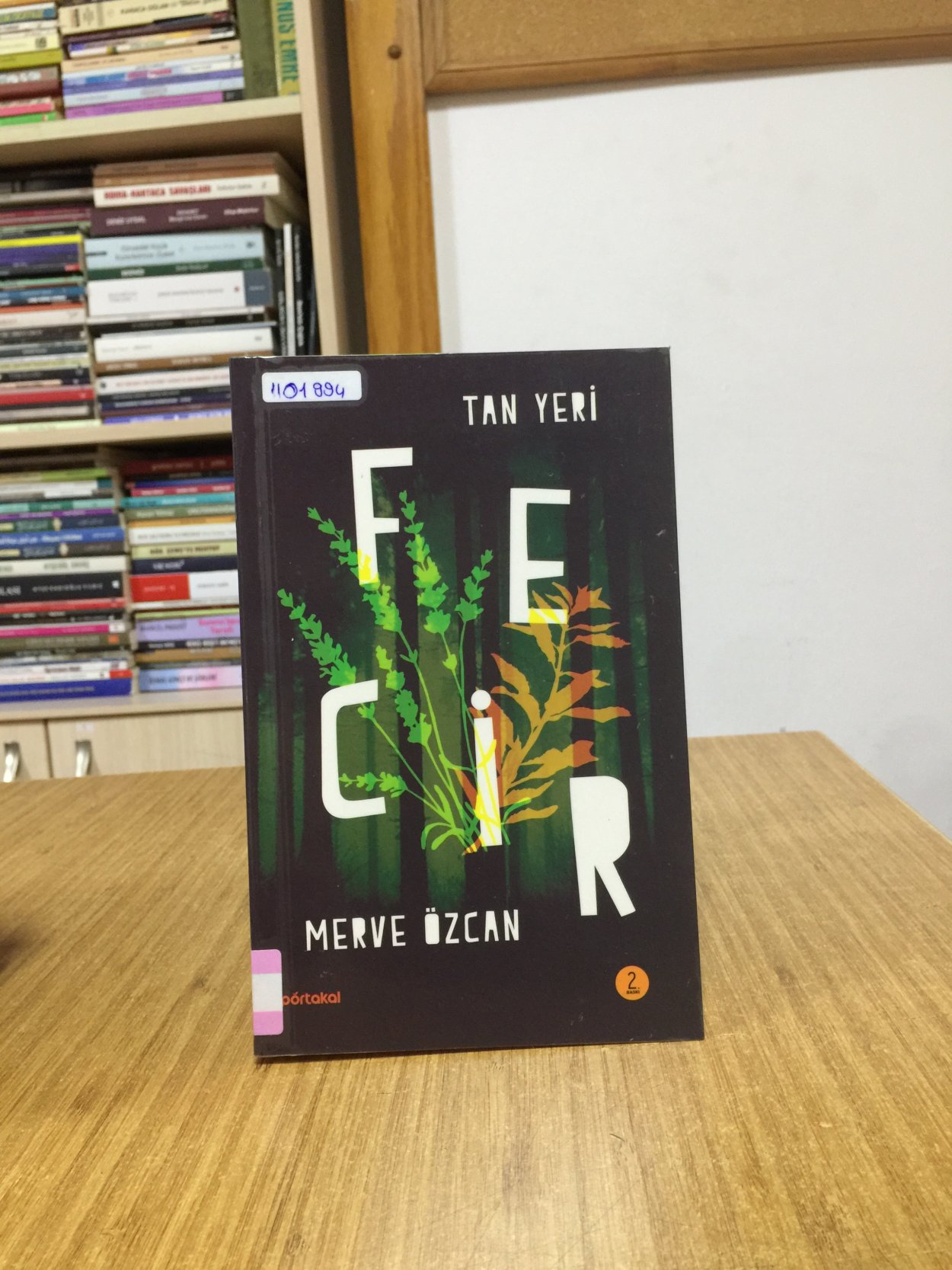 Tan Yeri / Fecir - Merve Özcan