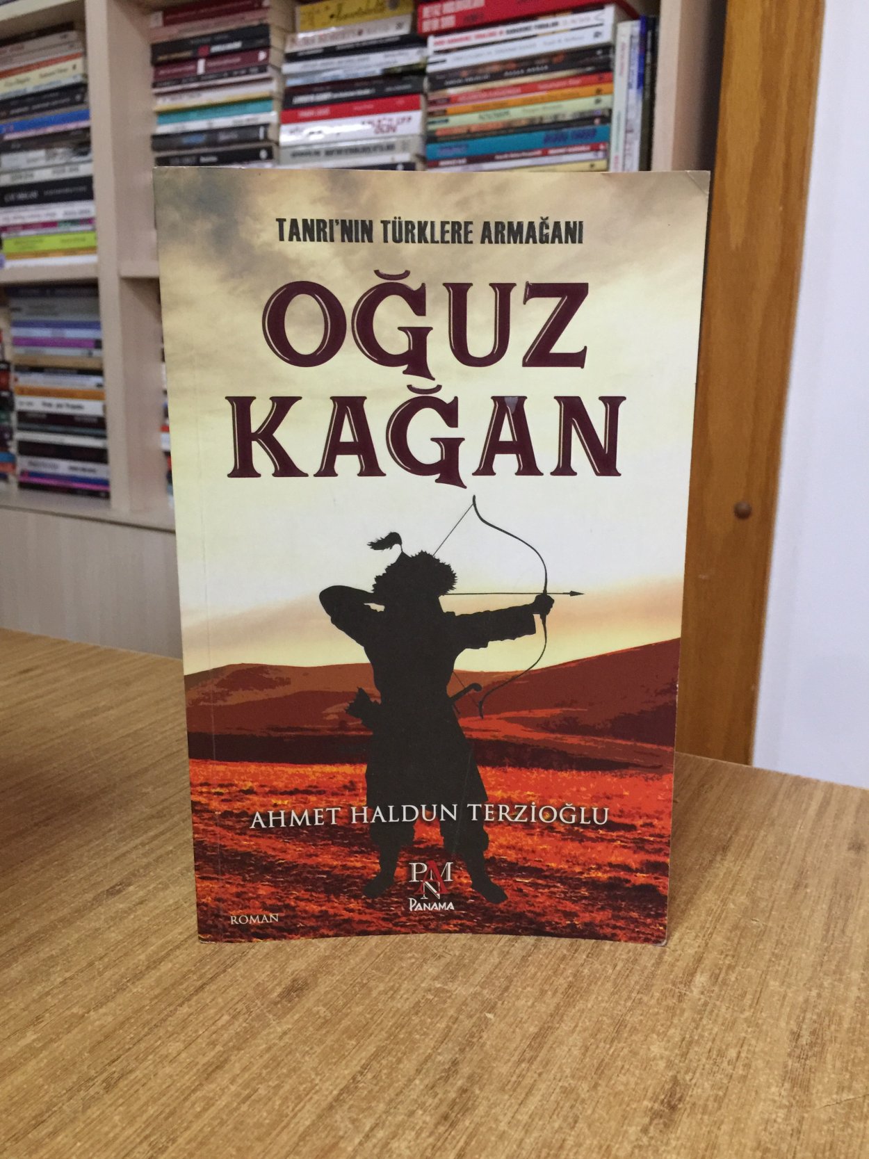 Tanrı'nın Türklere Armağanı Oğuz Kağan - Ahmet Haldun Terzioğlu