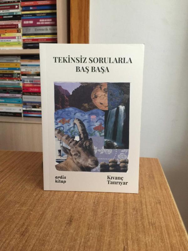 Tekinsiz Sorularla Baş Başa - Kıvanç Tanrıyar