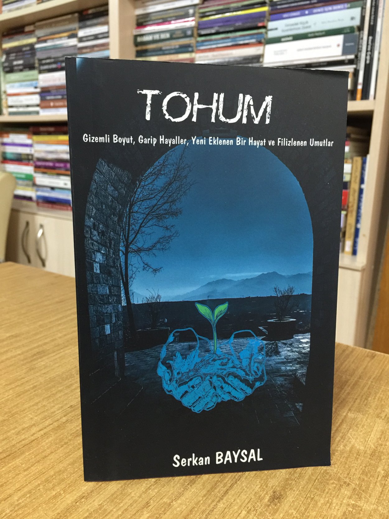 Tohum - Serkan Baysal