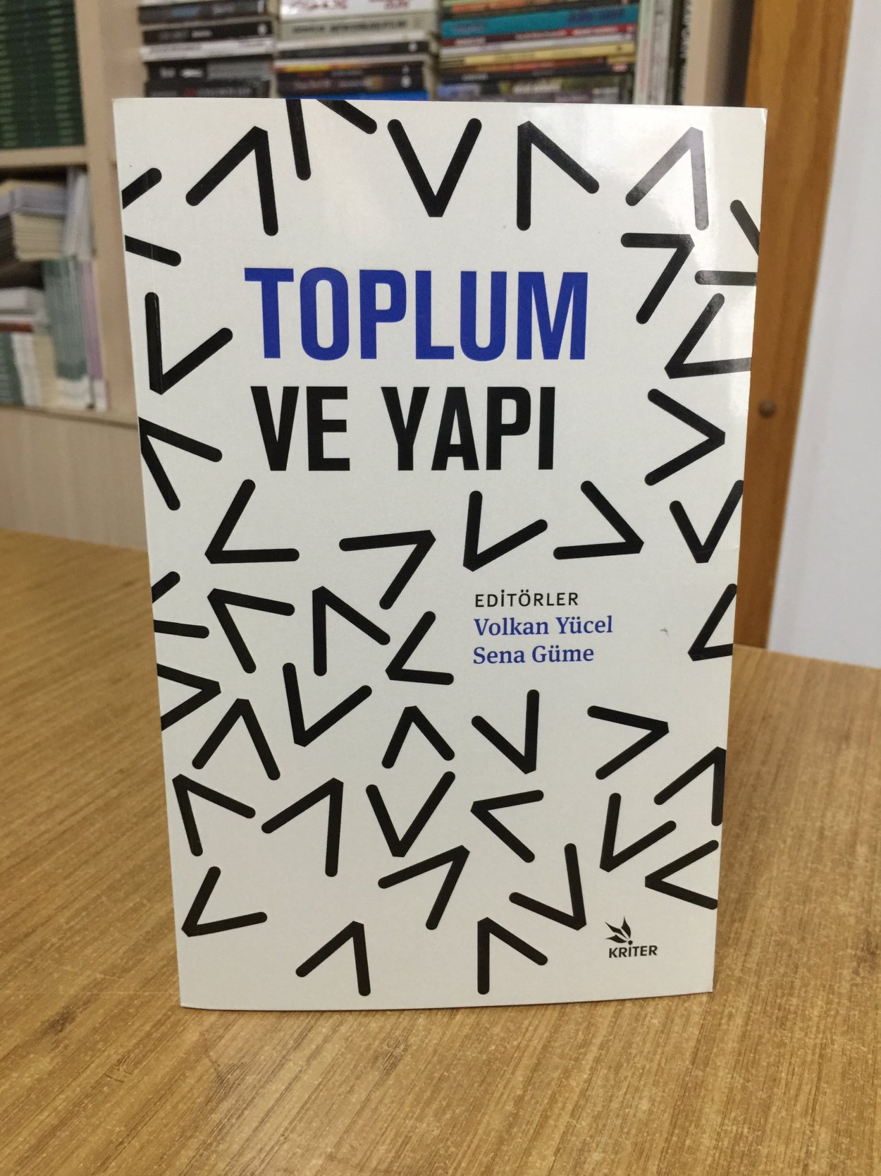 Toplum ve Yapı - Sena Güme & Volkan Yücel