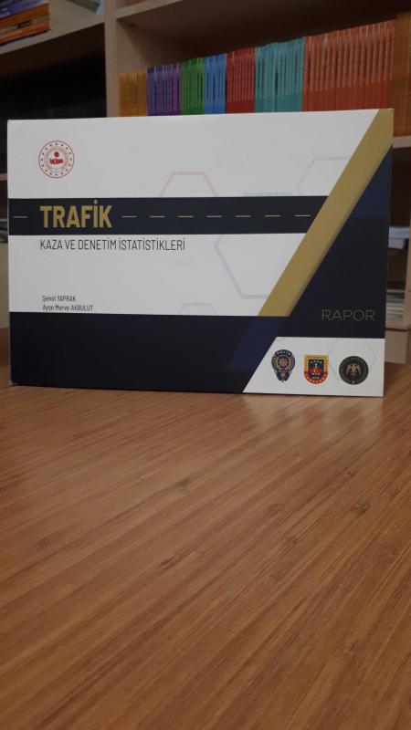 Trafik Kaza ve Denetim İstatistikleri - Rapor