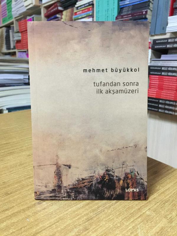 Tufandan Sonra İlk Akşamüzeri - Mehmet Büyükkol