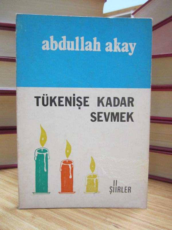 Tükenişe Kadar Sevmek - Abdullah Akay