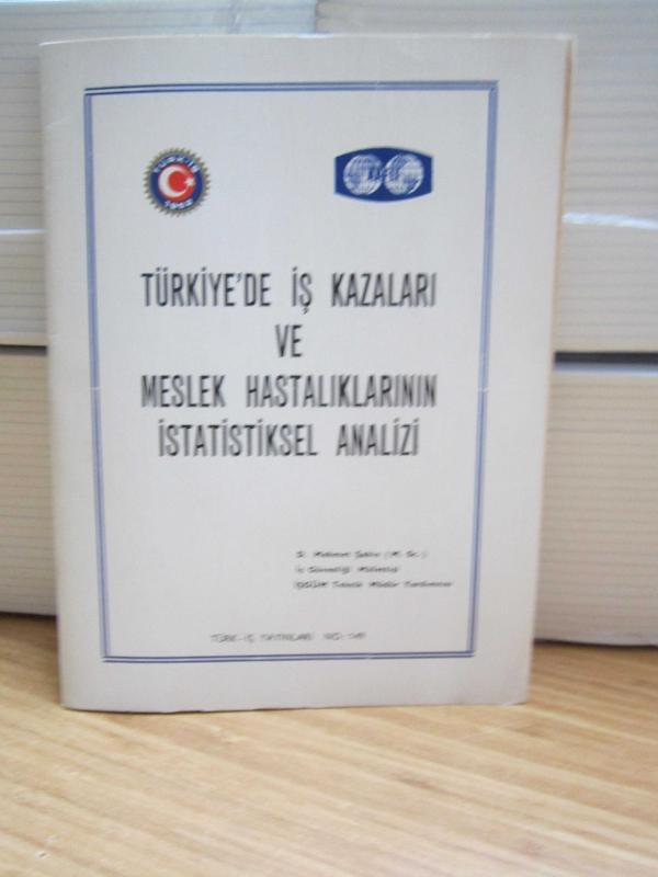 Türkiye'de İş Kazaları ve Meslek Hastalıklarının İstatistiksel Analizi