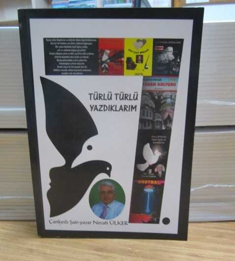 Türlü Türlü Yazdıklarım