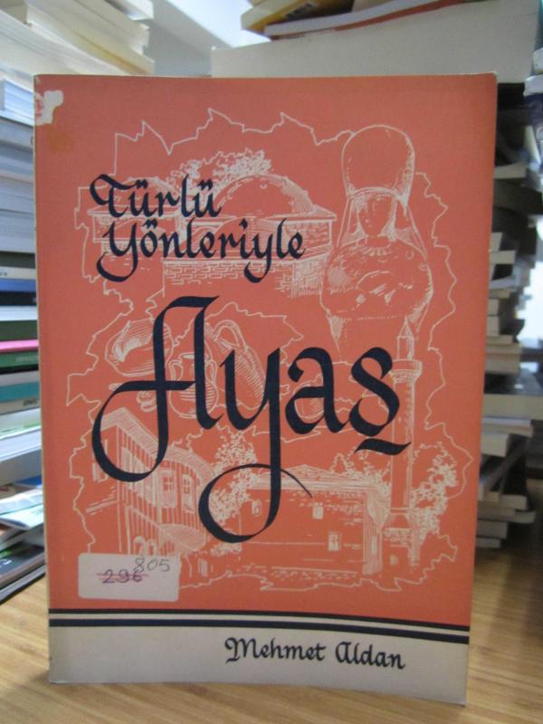 Türlü Yönleriyle Ayaş - Mehmet Aldan