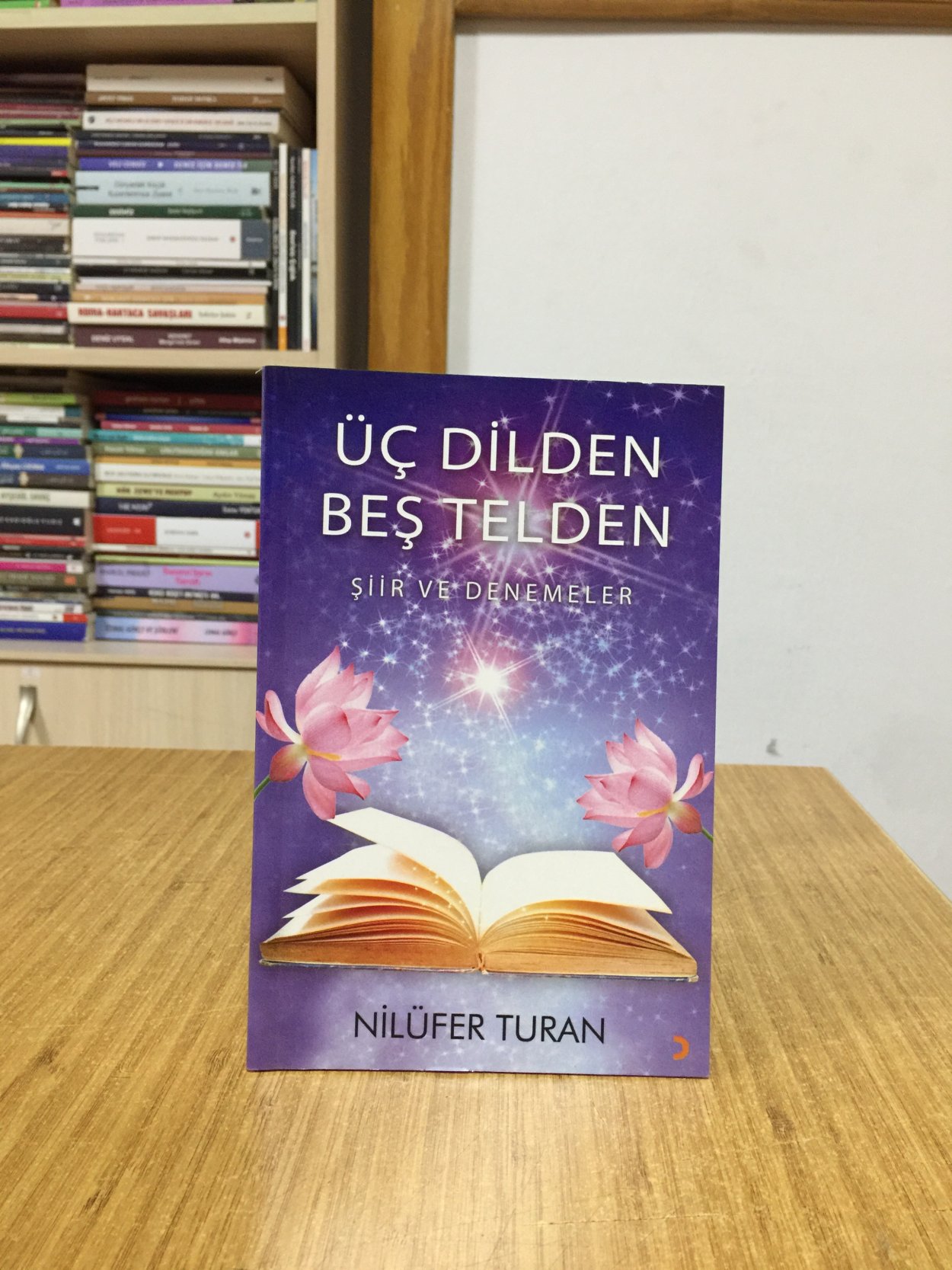 Üç Dilden Beş Telden Şiir ve Denemeler - Nilüfer Turan