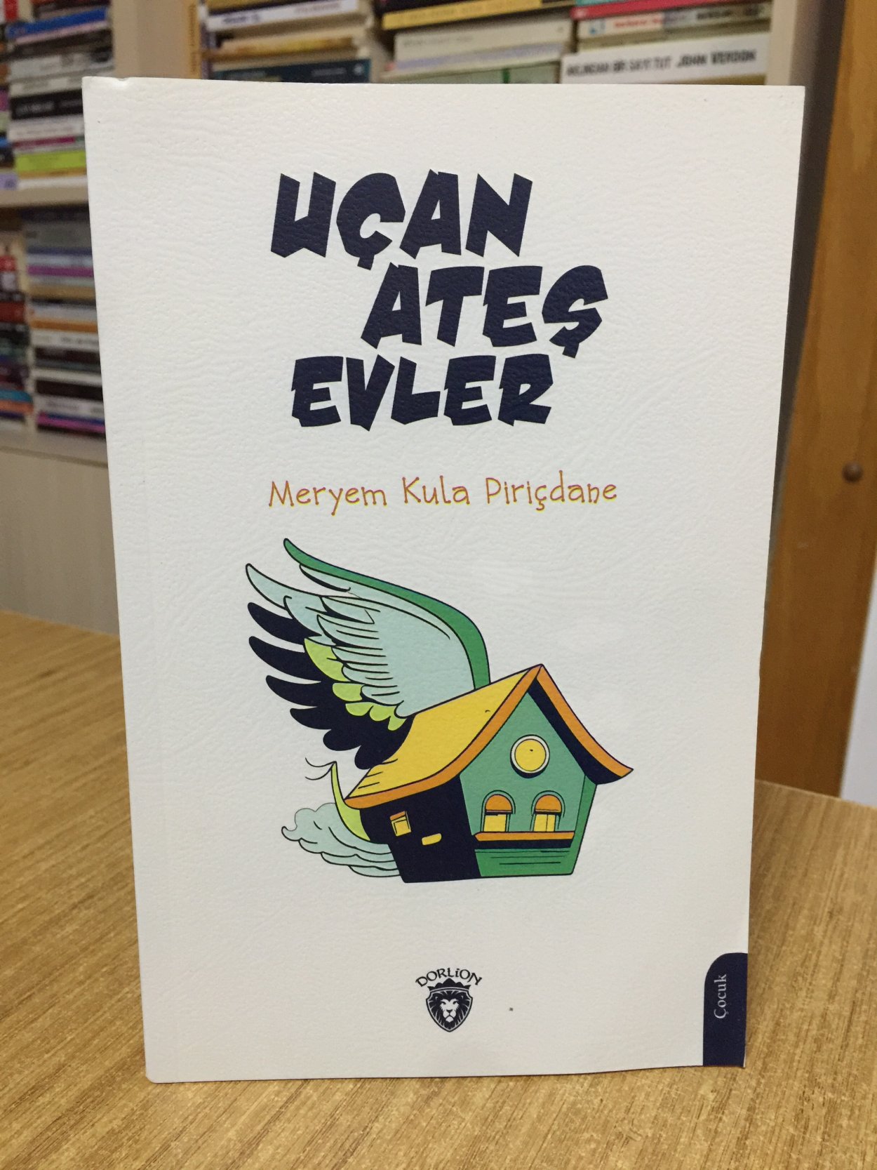 Uçan Ateş Evler - Meryem Kula Piriçdane (5+ Resimli Çocuk Kitabı)