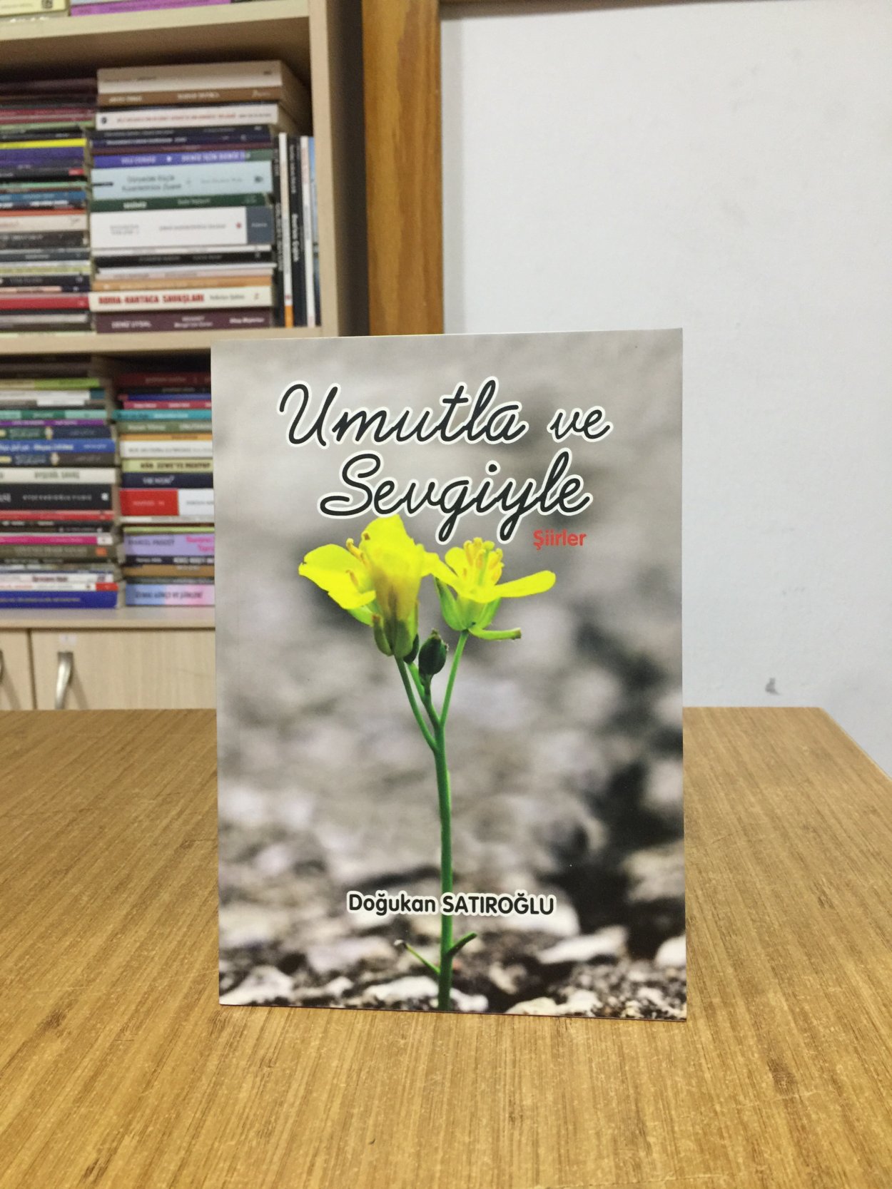 Umutla ve Sevgiyle - Doğukan Satıroğlu