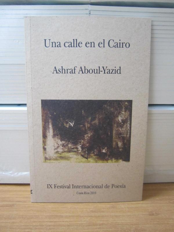 Una calle en el Cairo - Ashraf Aboul-Yazid