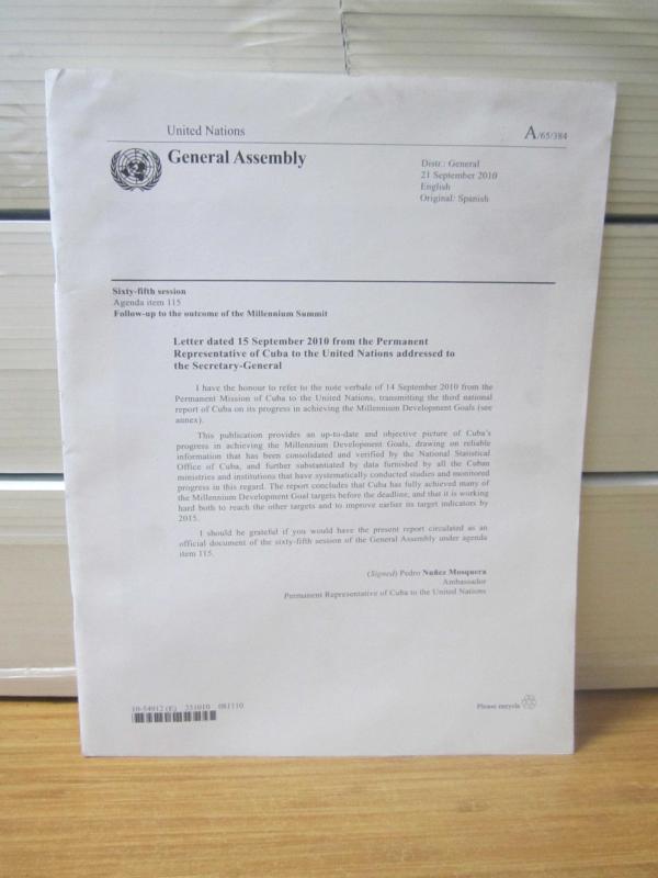 United Nations General Assembly - Sixty-Fifth Session Agenda Items 115 - Nunez Mosquera A/65/384