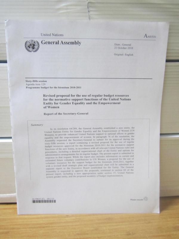 United Nations General Assembly - Sixty-Fifth Session Agenda Items 129 - Programme Budget for The Biennium 2010-2011 A/65/531