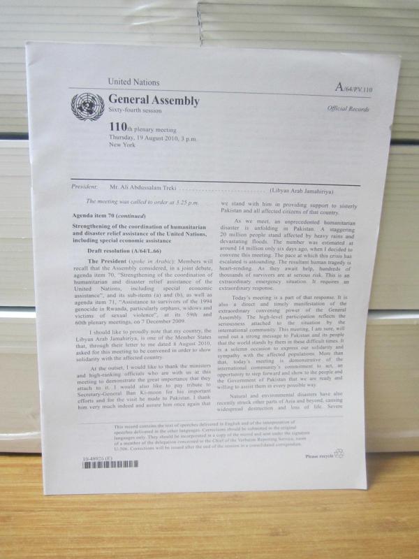 United Nations General Assembly Sixty-Fourth Session 110th Plenary Meeting [19 August 2010] - Official Records A/64/PV.110