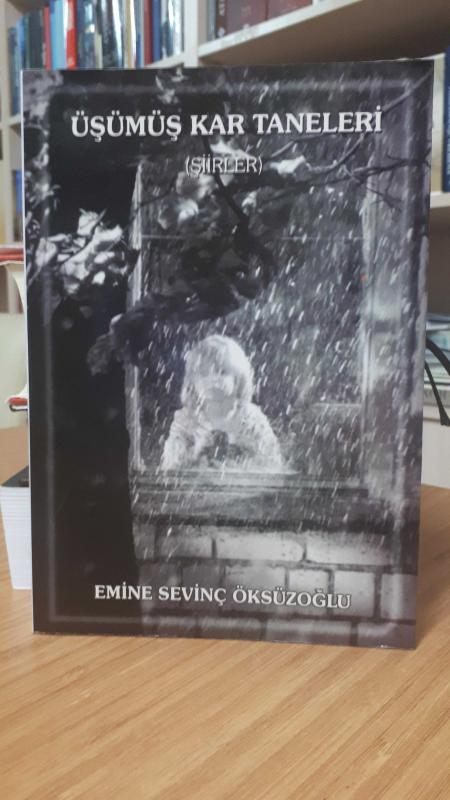 Üşümüş Kar Taneleri