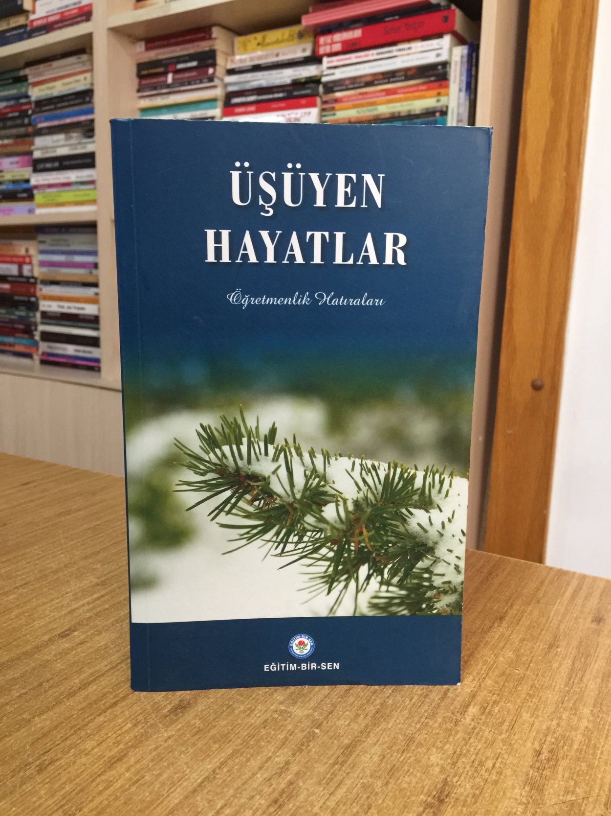 Üşüyen Hayatlar -  Öğretmenlik Hatıraları