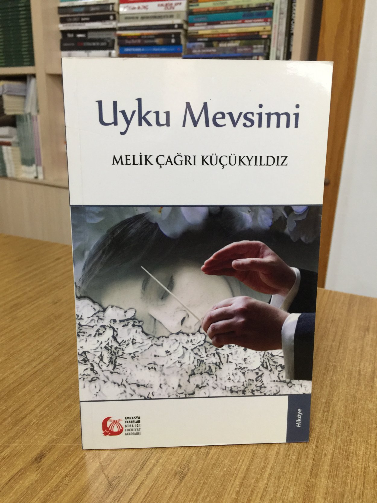 Uyku Mevsimi - Melik Çağrı Küçükyıldız