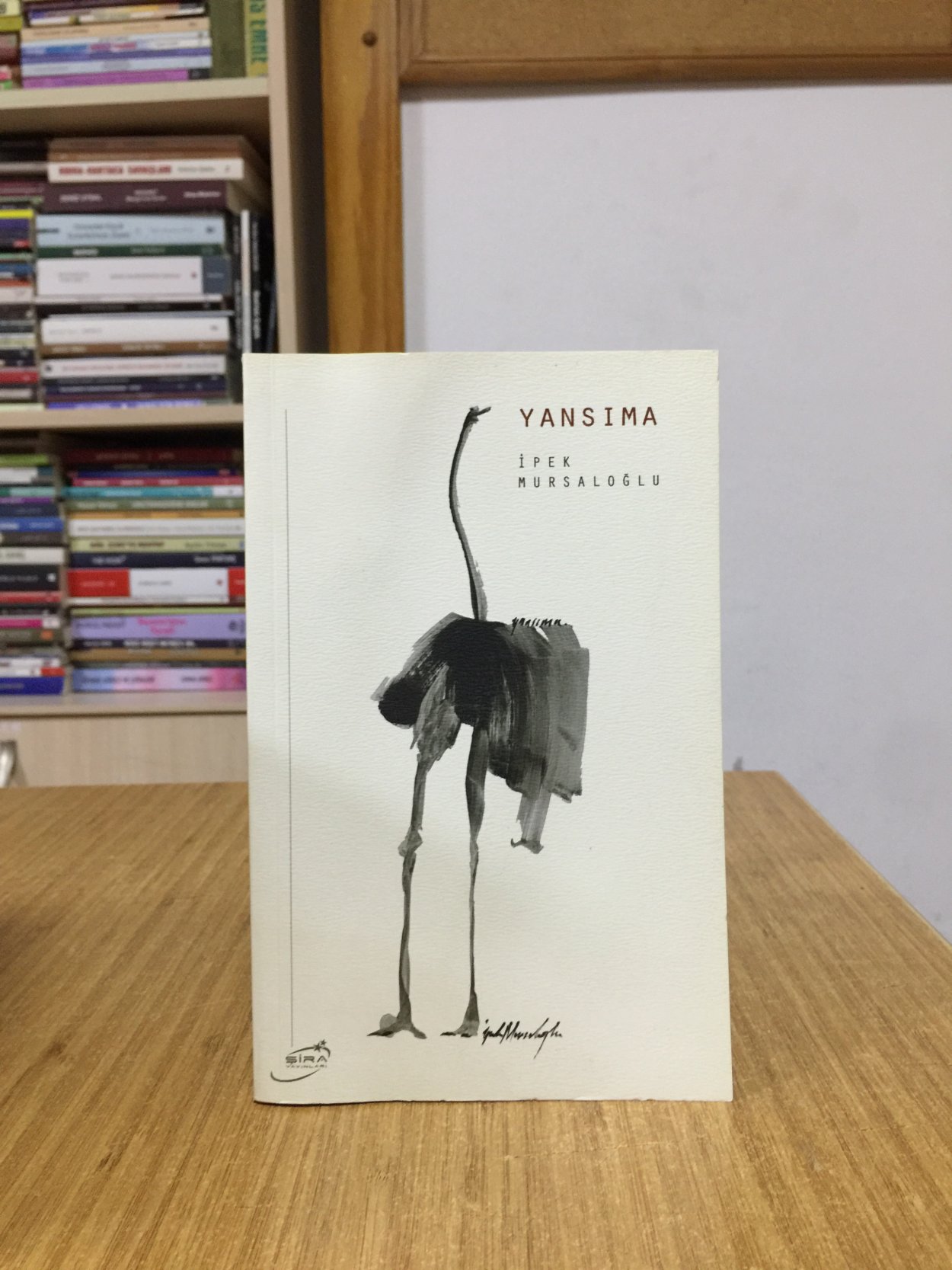 Yansıma - İpek Mursaloğlu
