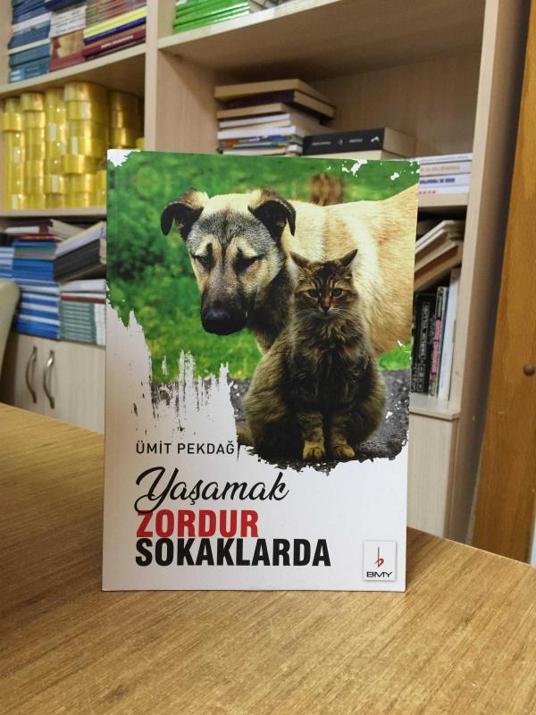 Yaşamak Zordur Sokaklarda - Ümit Pekdağ