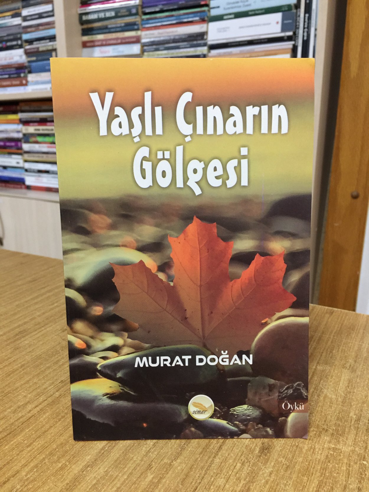 Yaşlı Çınarın Gölgesi - Murat Doğan