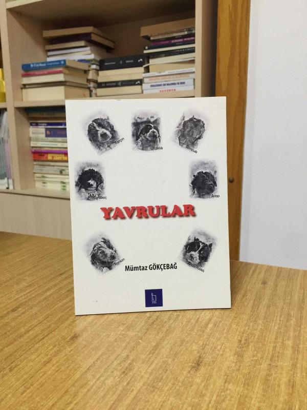 Yavrular - Mümtaz Gökçebağ