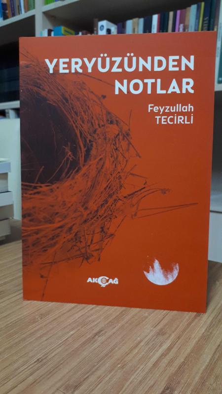 Yeryüzünden Notlar - Feyzullah Tecirli