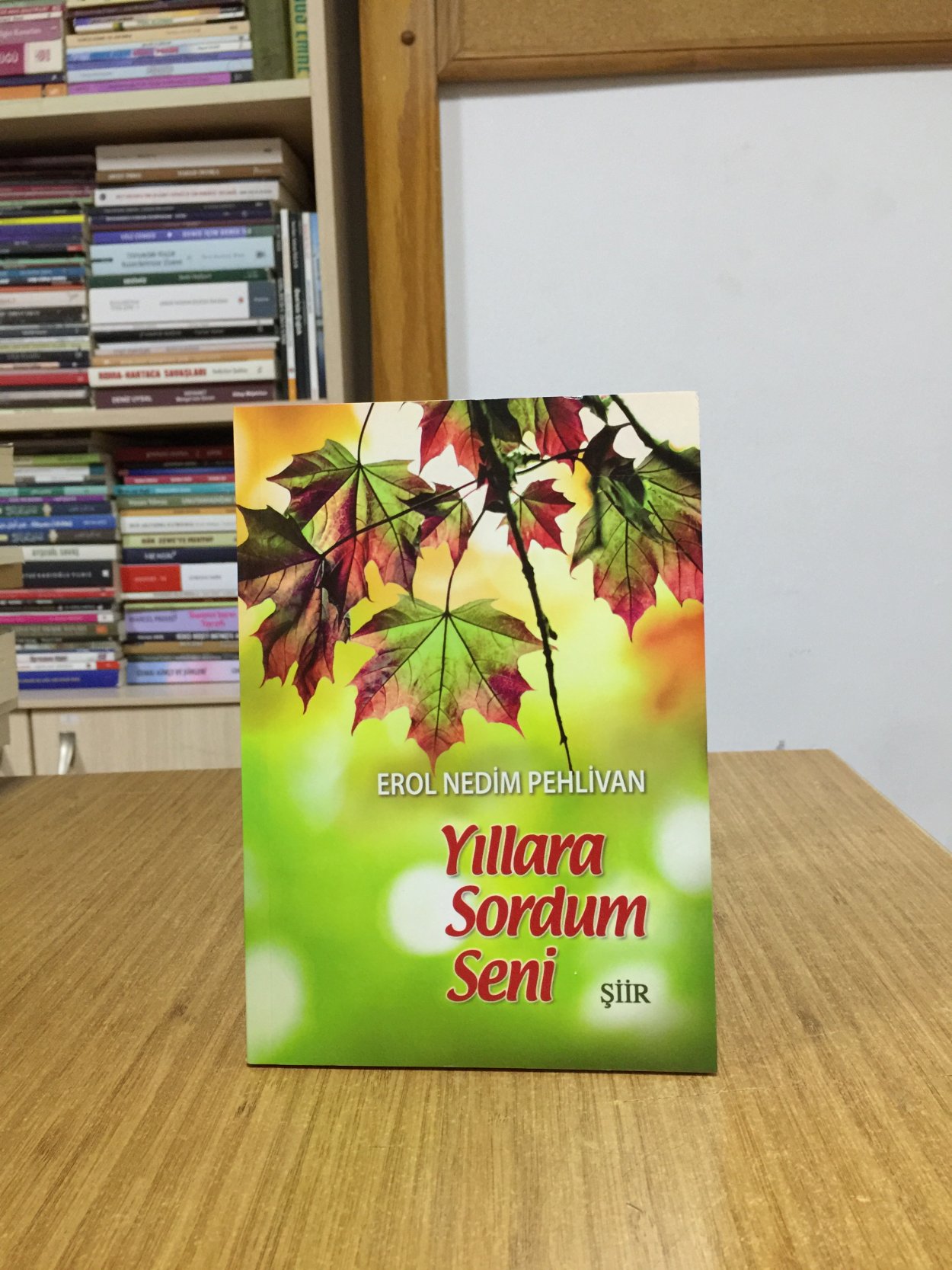 Yıllara Sordum Seni - Erol Nedim Pehlivan