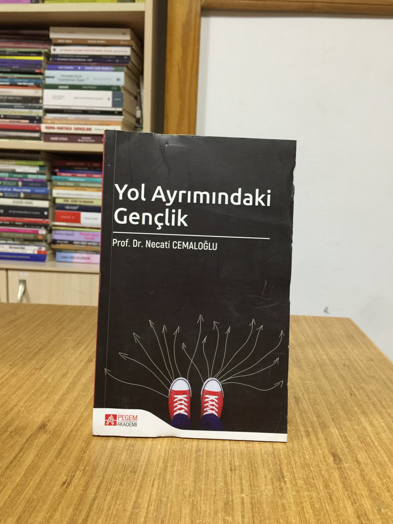 Yol Ayrımındaki Gençlik - Prof. Dr. Necati Cemaloğlu
