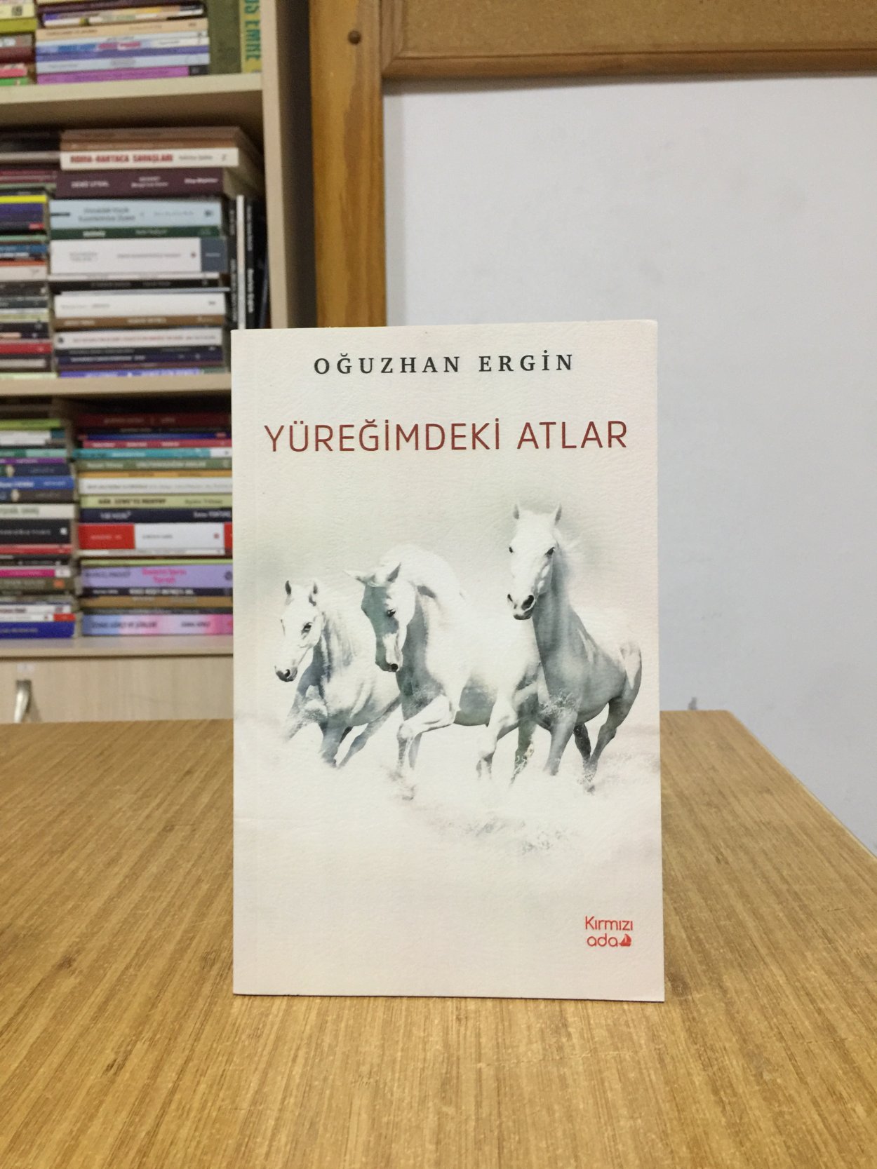 Yüreğimdeki Atlar - Oğuzhan Ergin