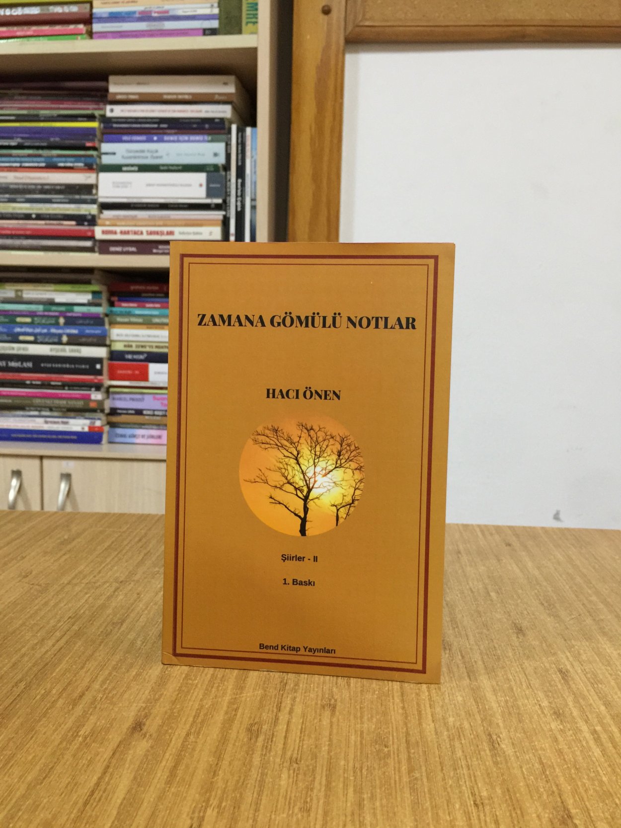 Zamana Gömülü Notlar - Hacı Önen