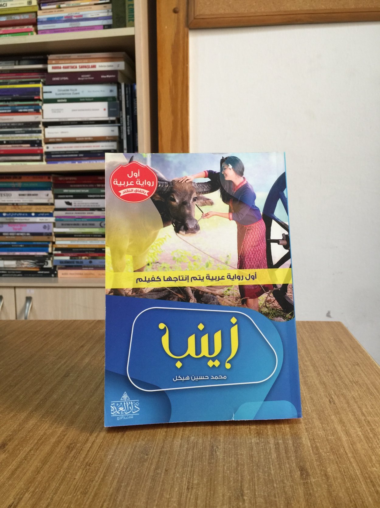 Zeyneb - Muhammed Hüseyin Heykel (Modern Arap edebiyatının ilk romanı)