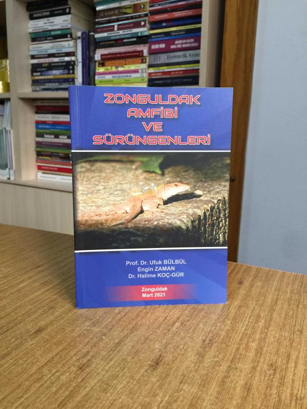 Zongunldak Amfibi ve Sürüngenleri